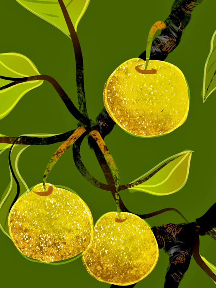 Asian Pears