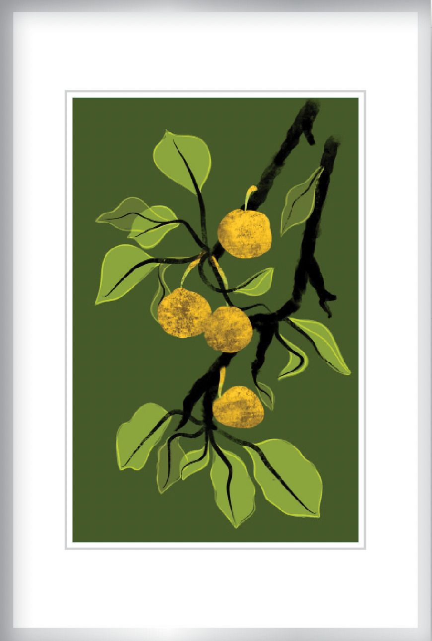 Asian Pears