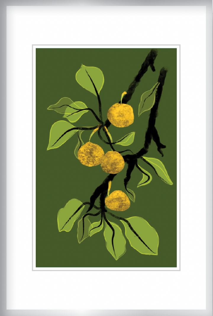 Asian Pears