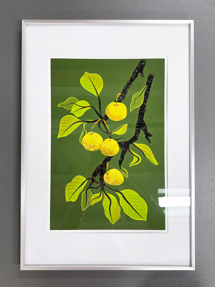 Asian Pears