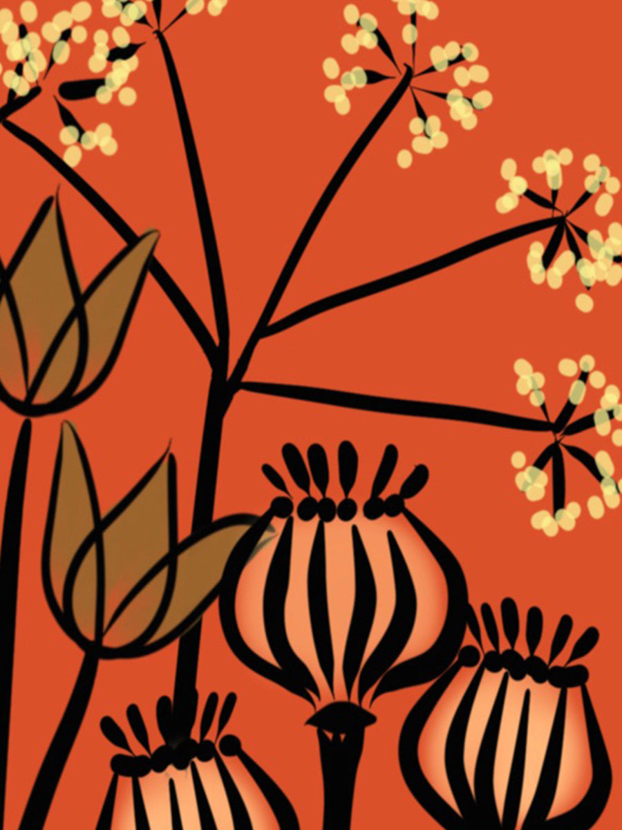 Seedheads