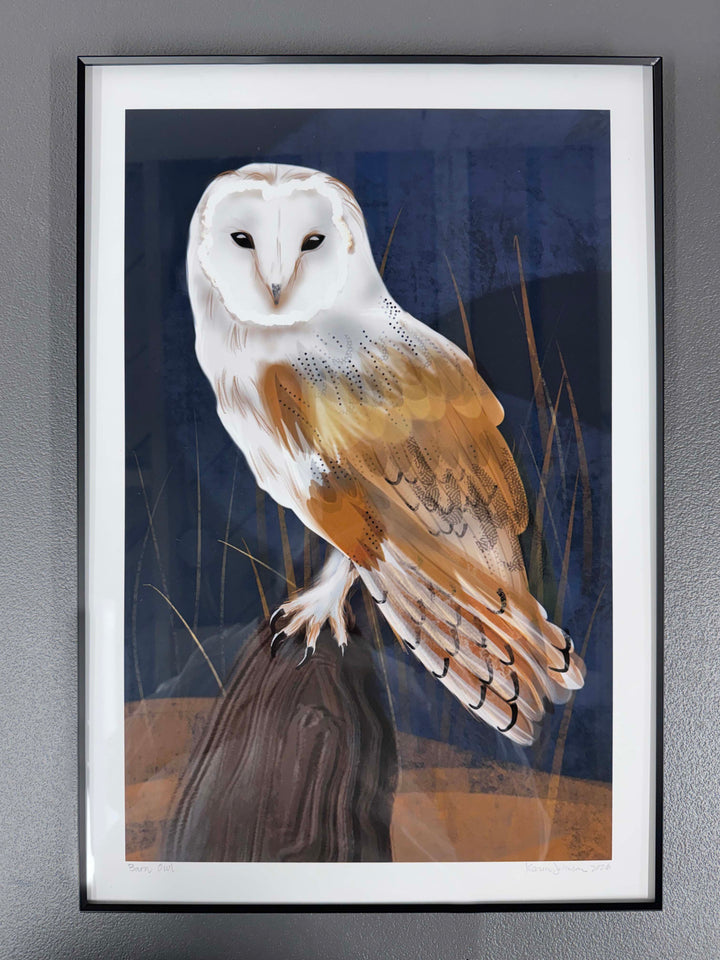 Barn Owl