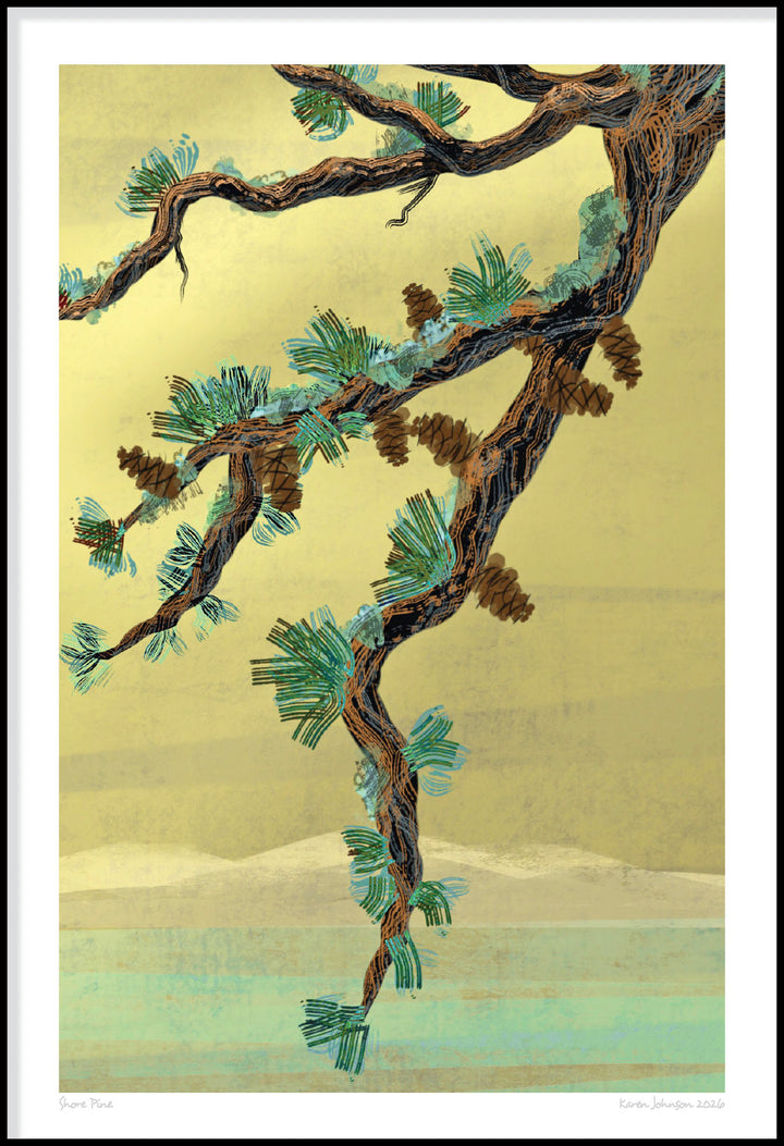 Shore Pine