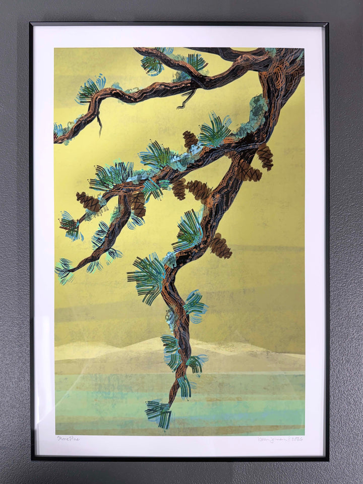 Shore Pine