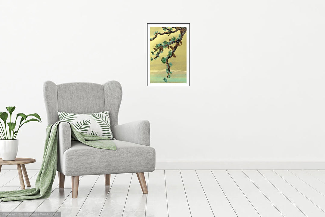Shore Pine