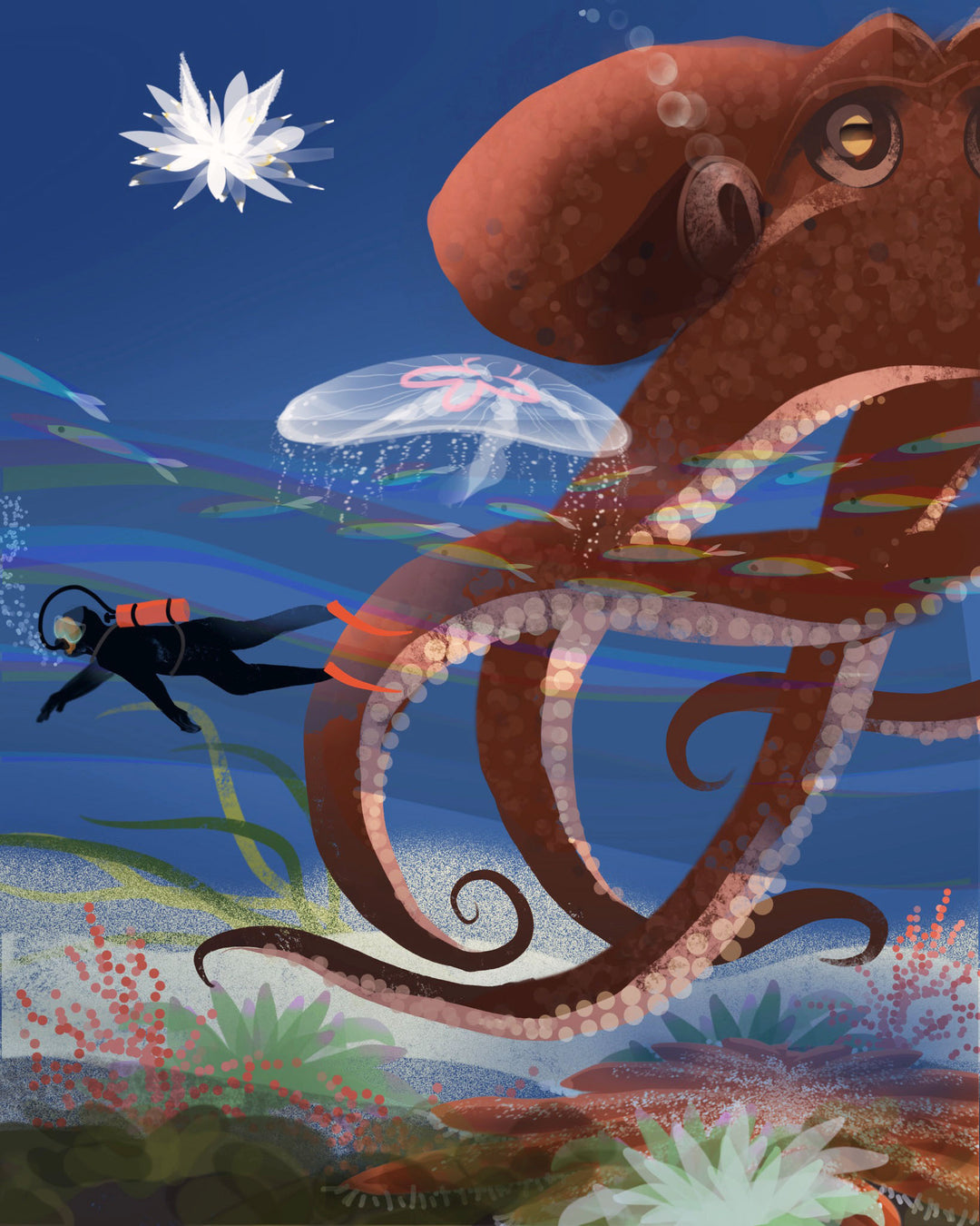 Beneath the Sea