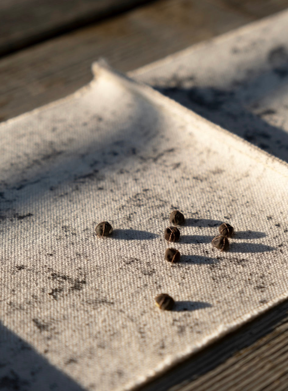 Ashes Ashes