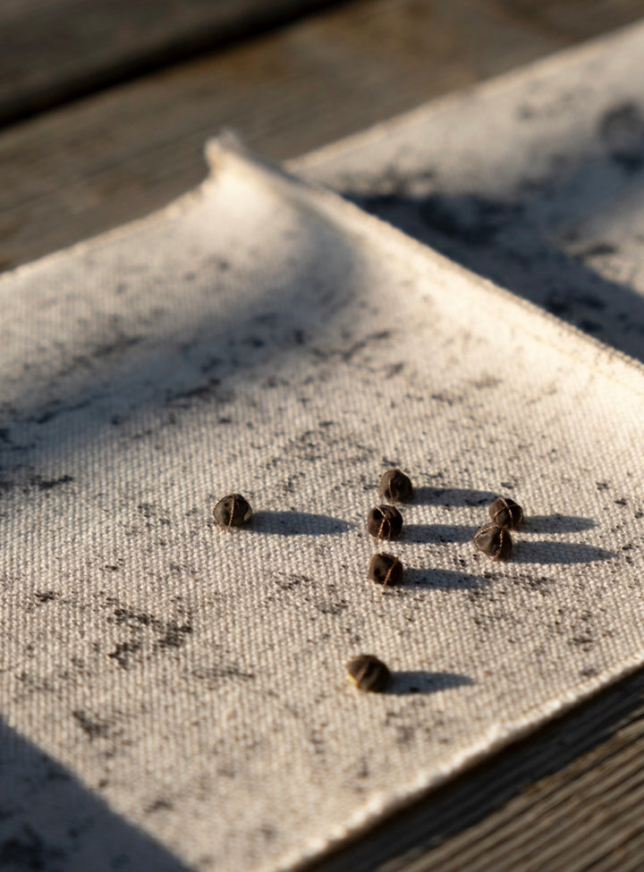 Ashes Ashes
