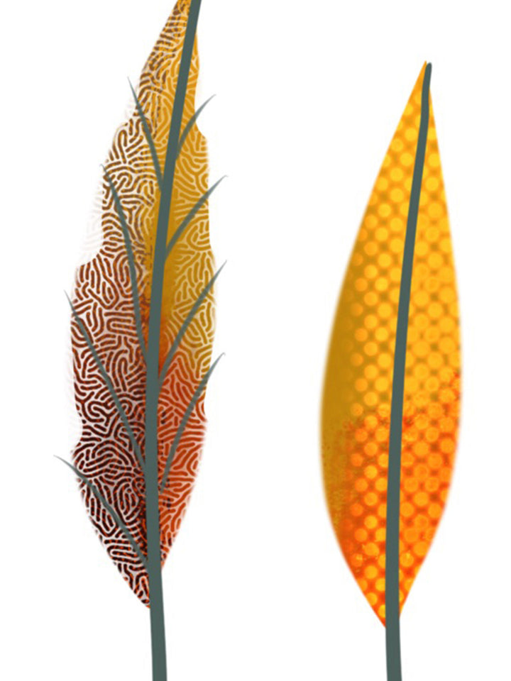 Leaf Studies
