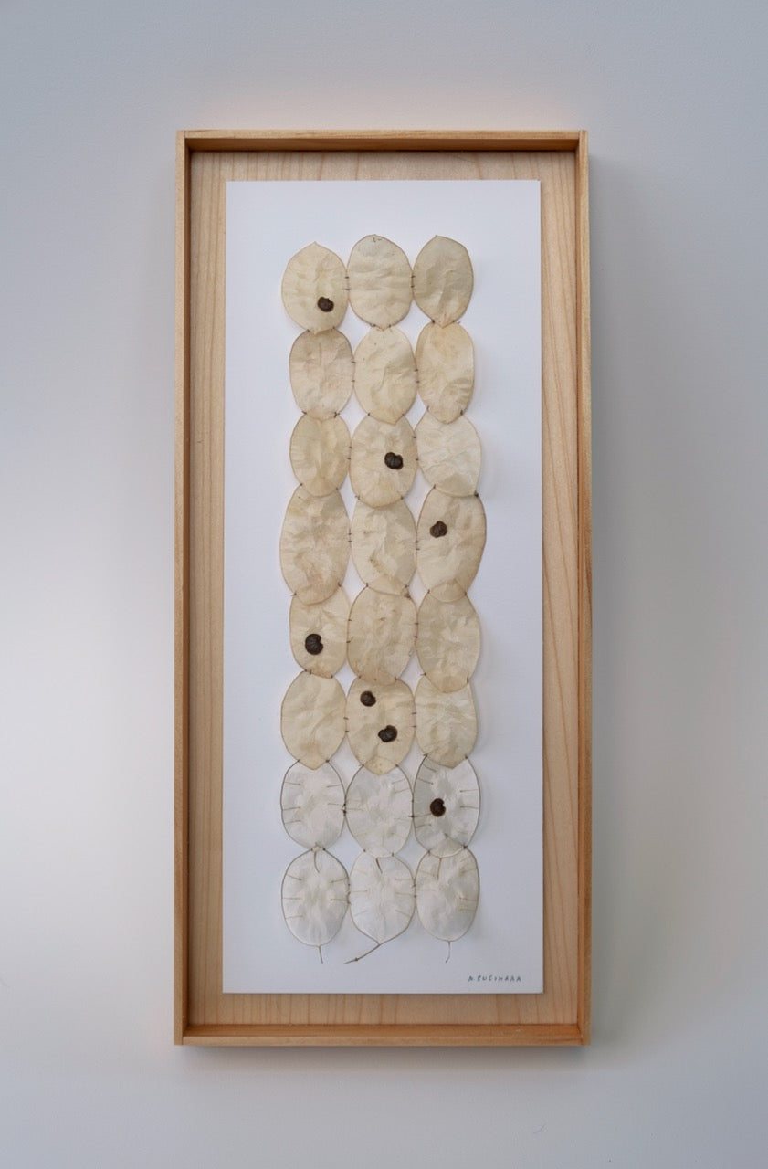 Silver Dollar Ladder