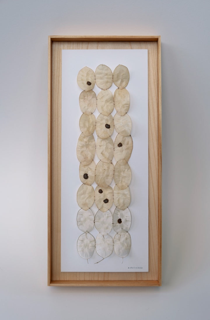 Silver Dollar Ladder