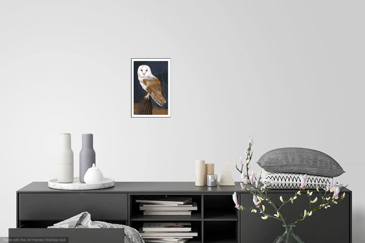 Barn Owl
