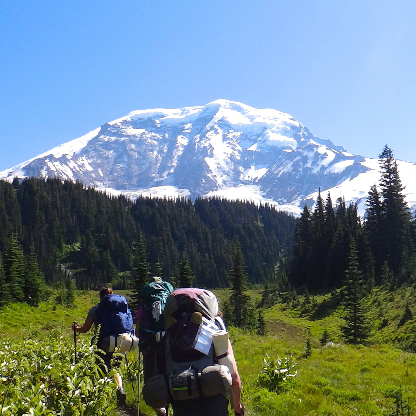 Looking at Mt. Rainier with backpackers in foreground